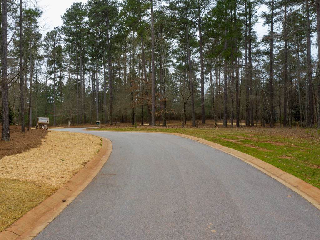 1020 Angel Pond West - Photo 1
