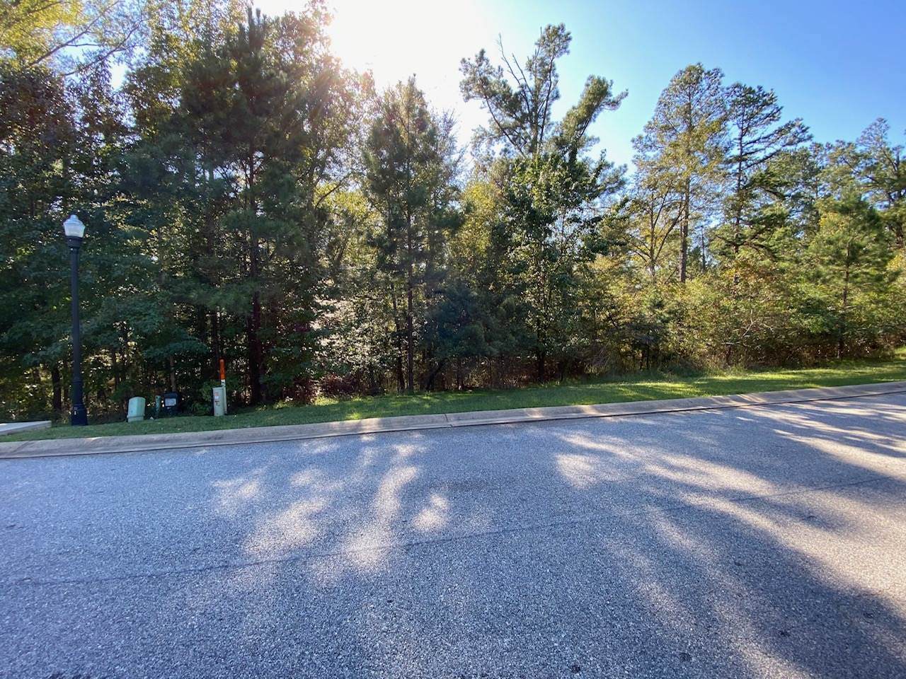 124 Eagles Way - Photo 1