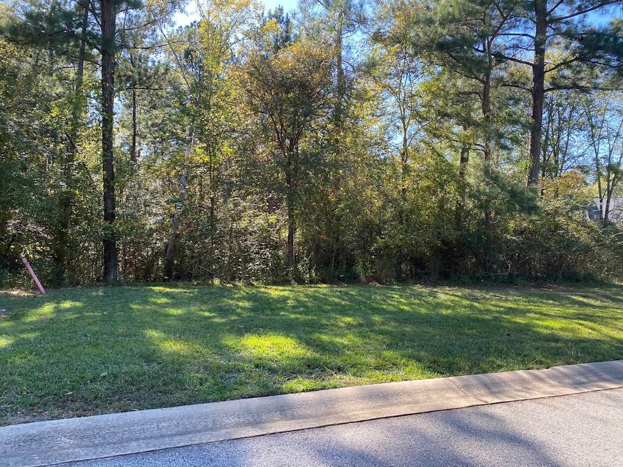 162 Eagles Way - Photo 1