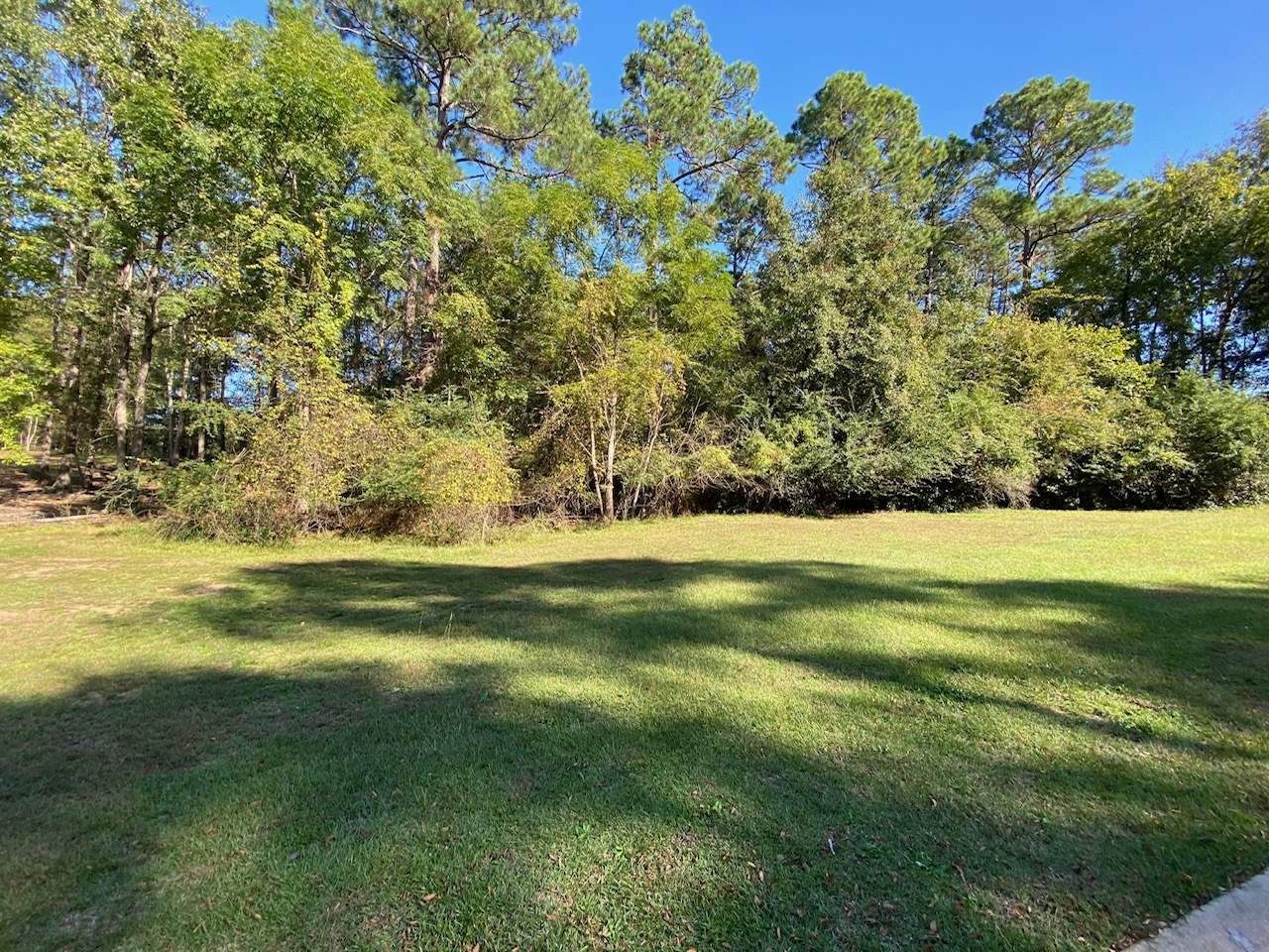 249 Eagles Rest - Photo 1