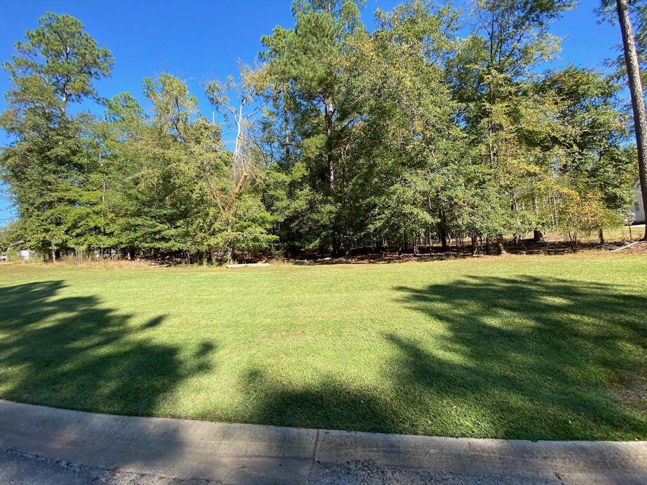 355 Eagles Rest - Photo 1