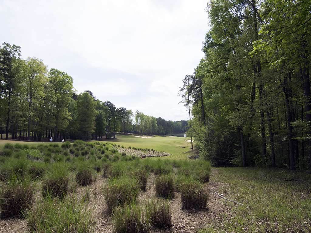 1160 Callahans Ridge Road - Photo 1