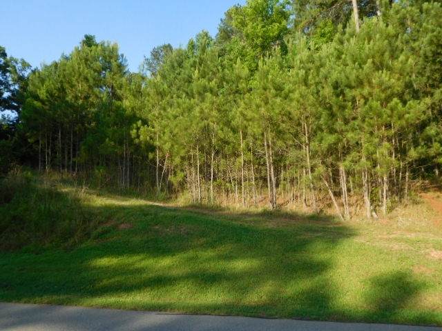 1450 Snug Harbor Drive - Photo 1