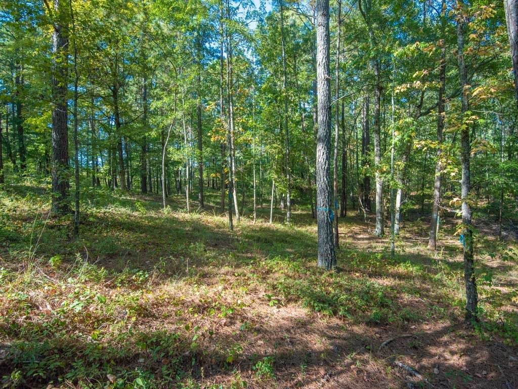 1030 Stewarts Creek - Photo 1