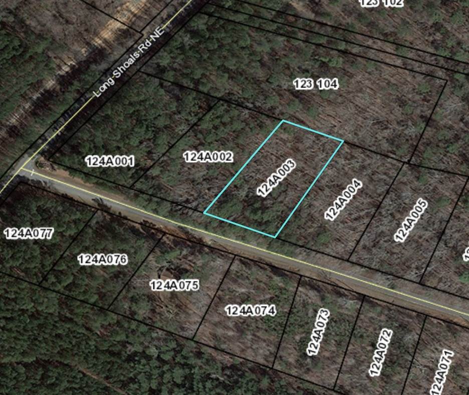 Lot 3 Long Shoals Avenue - Photo 1