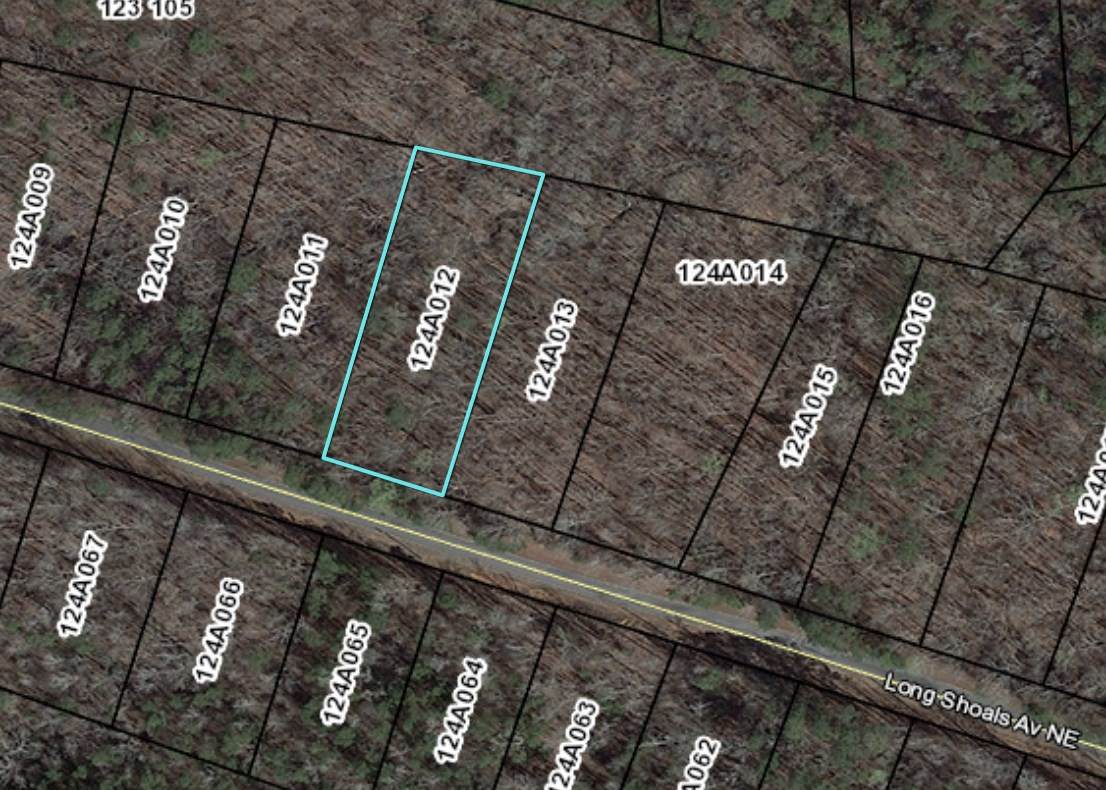 Lot 12 Long Shoals Avenue - Photo 1