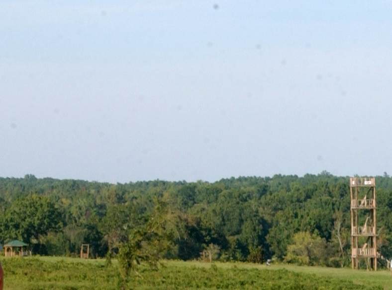 50+/- ac Sparta Highway - Photo 1