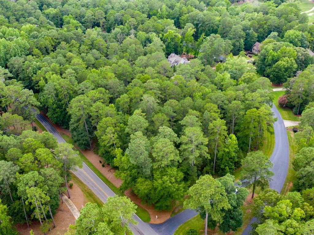 1000 Scull Shoals Drive - Photo 1