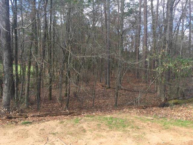 370 Eagles Rest - Photo 1