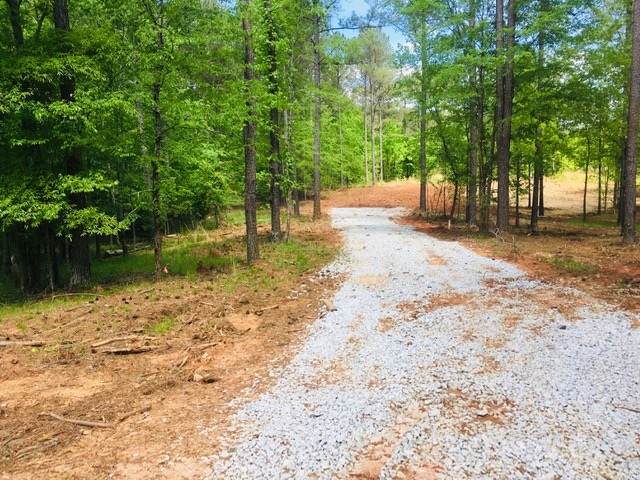 Lot 22 Hickory Lane - Photo 1