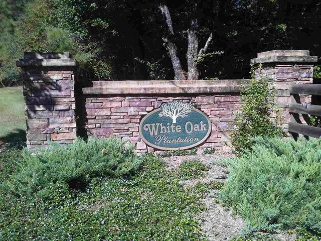 Lot 46 Withrow Road - Photo 1