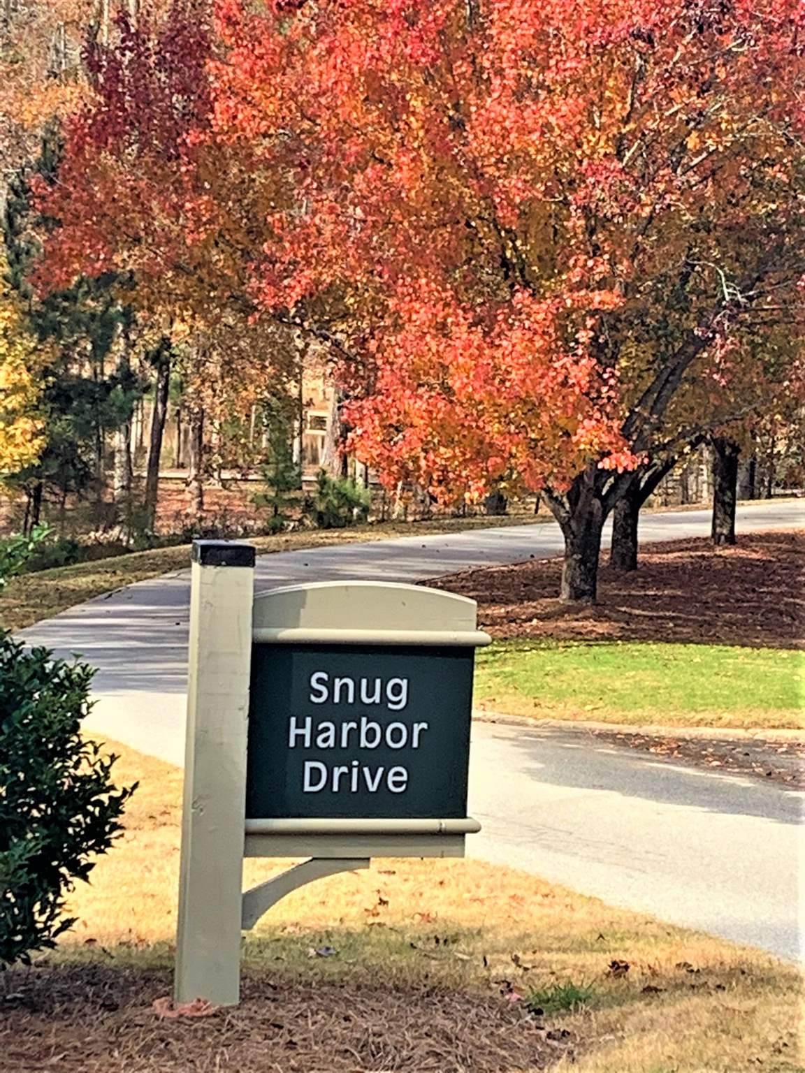 1520 Snug Harbor Drive - Photo 1