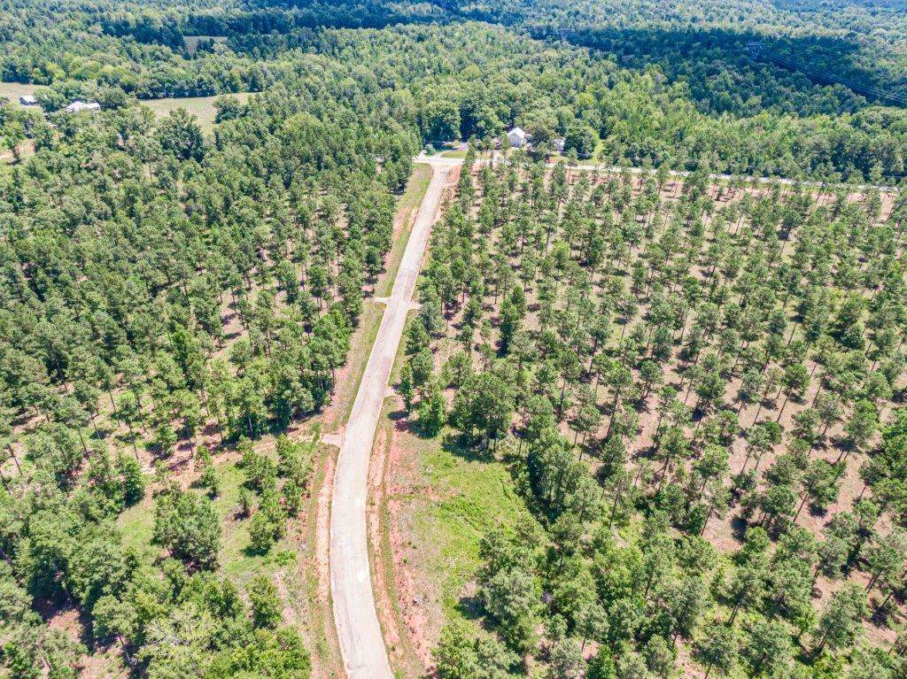 Lot #1 475 Pea Ridge Road - Photo 1