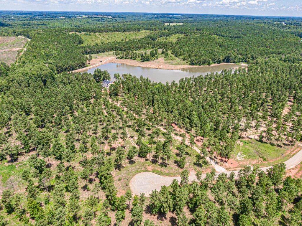 176 Overlook Drive - Photo 1
