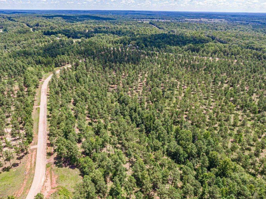 Lot #10 475 Pea Ridge Road - Photo 1