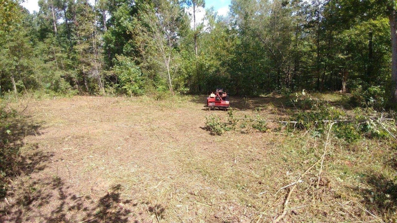 2421 Davis Academy Road - Photo 1