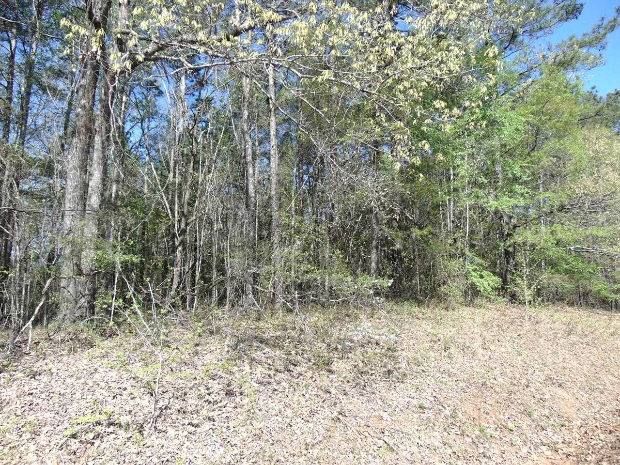 lot 4 Ellman Drive - Photo 1