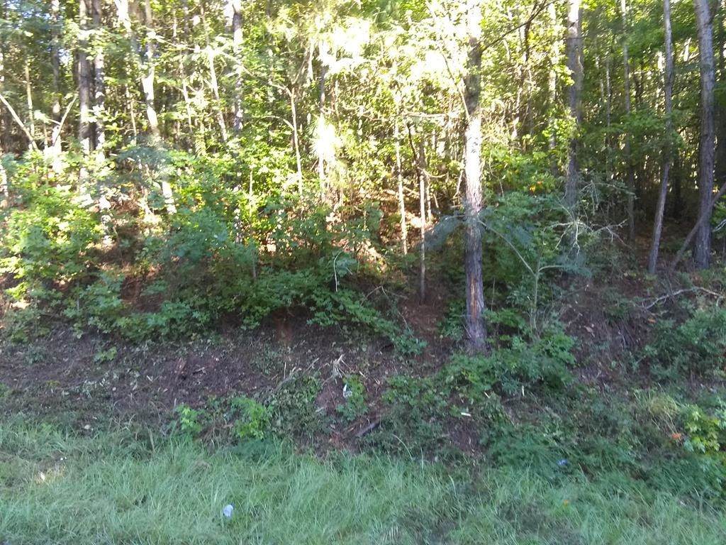 126 Shana Drive - Photo 1