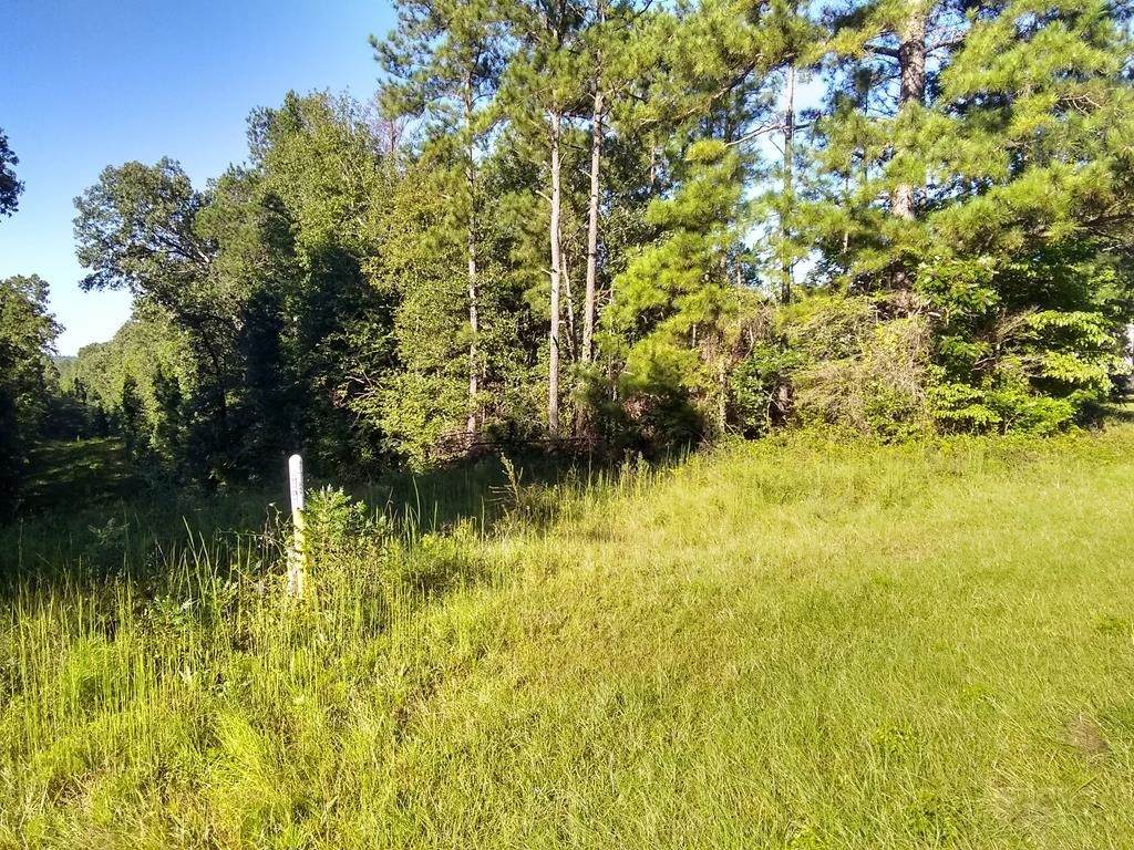 183 Allen Memorial Drive - Photo 1