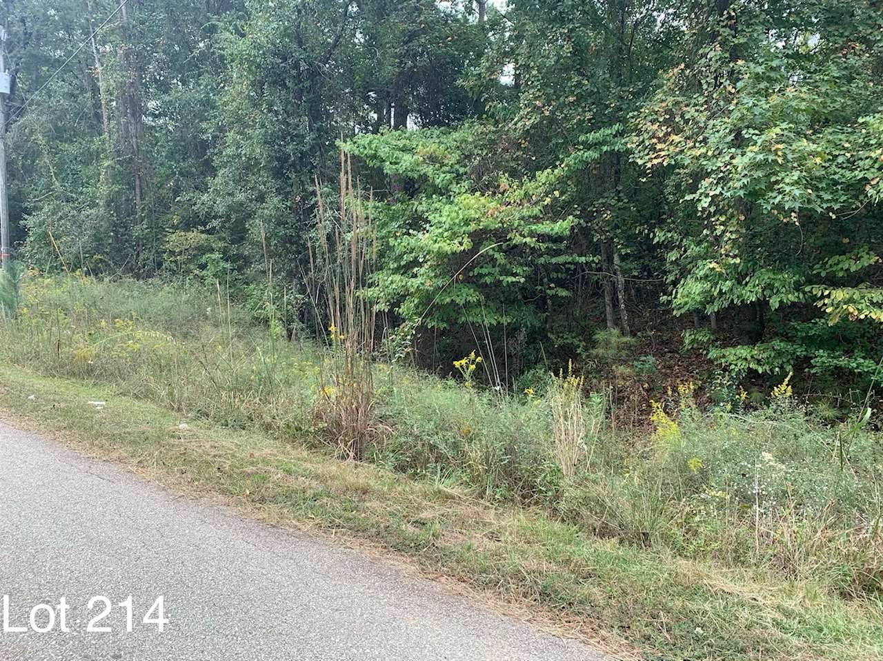 Lot 214 Sams Way - Photo 1