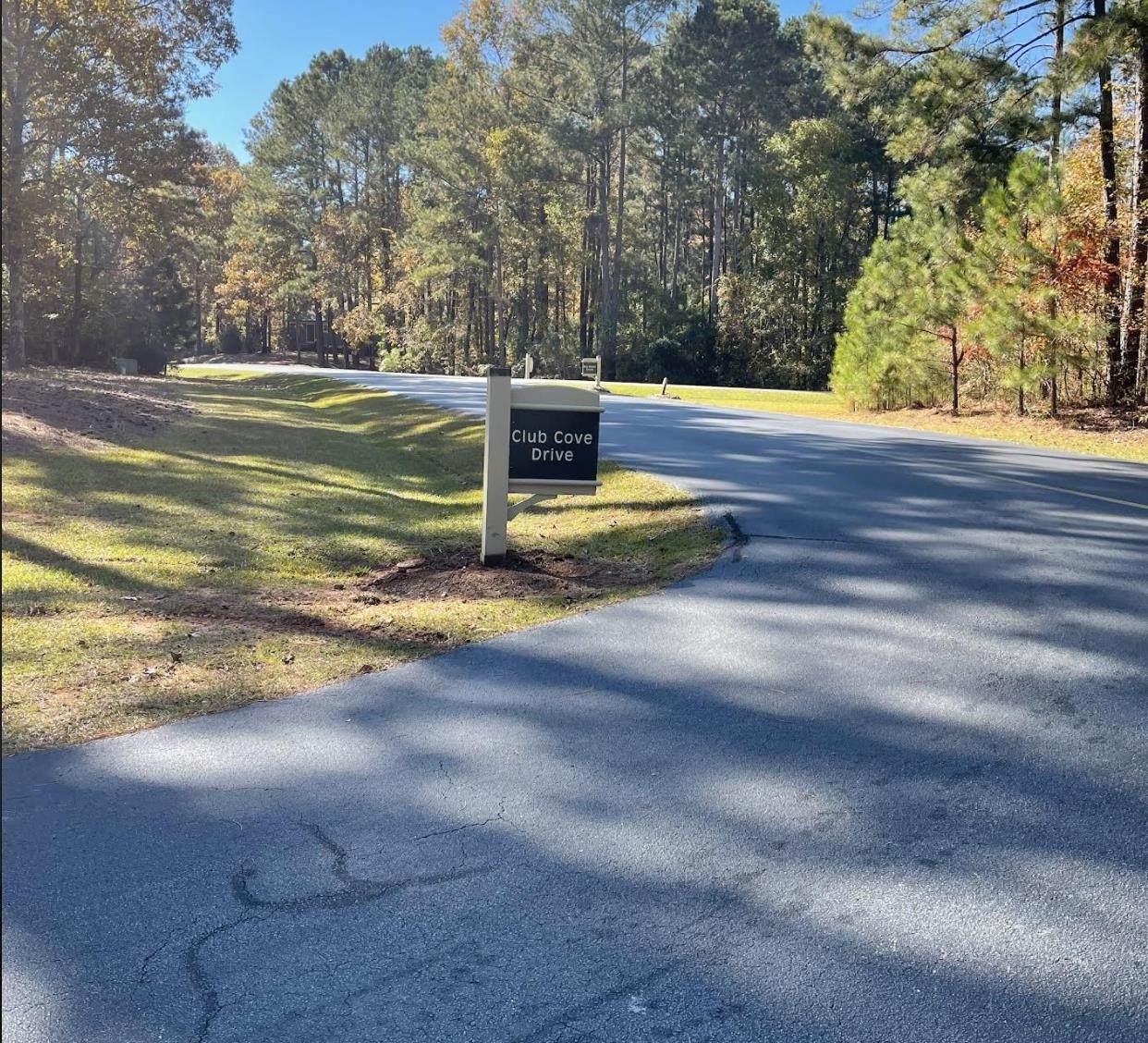 1201 Club Cove Drive - Photo 1