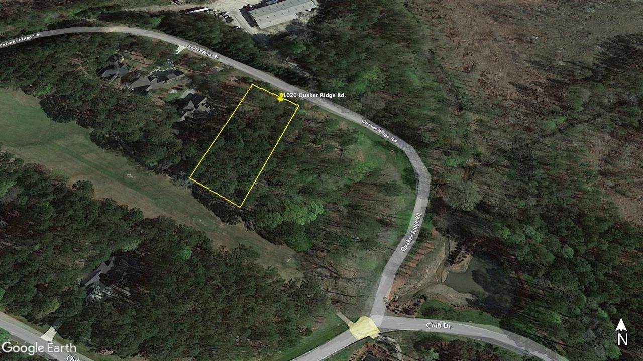 1020 Quaker Ridge Road - Photo 1