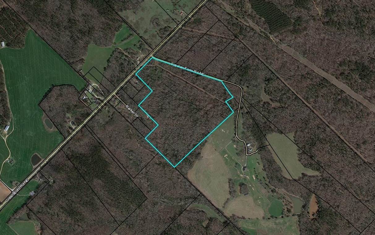70.817 Ac Copelan Farm Road - Photo 1