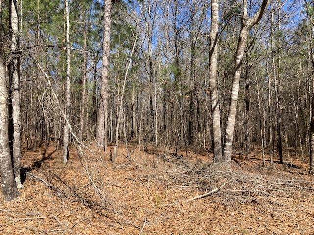 Lot 36 Elmwood Drive - Photo 1