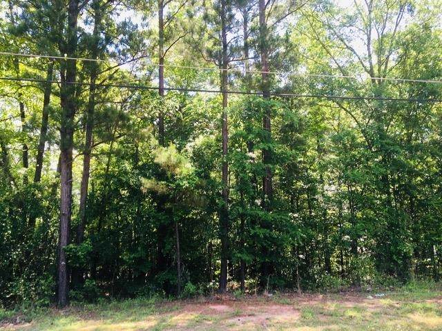 0 Shoals Point - Photo 1