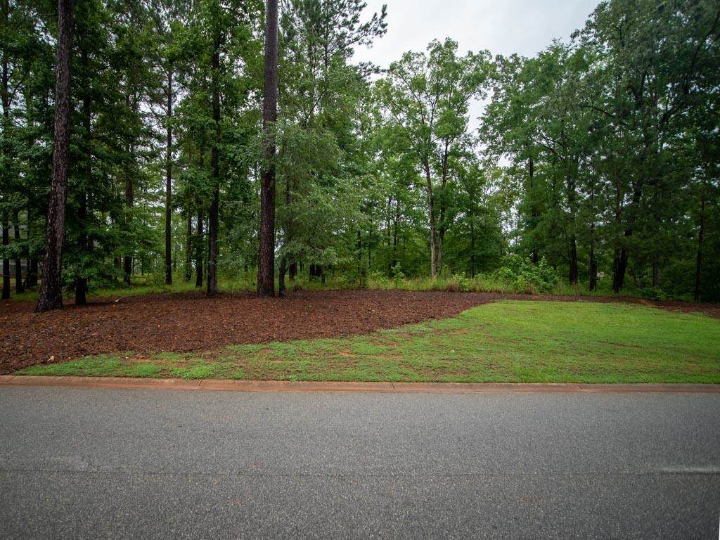2100 Sandy Ford - Photo 1
