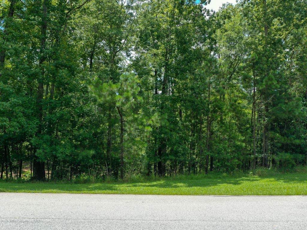 1130 Liberty Bluff Road - Photo 1