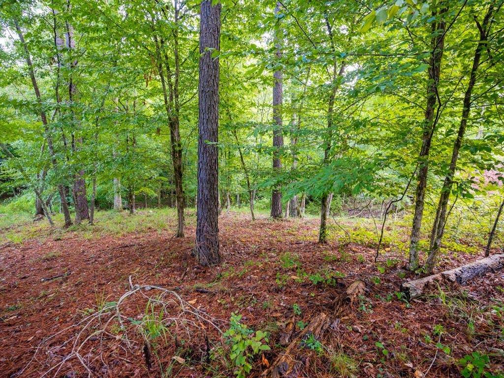 1050 Bridle Bit Lane - Photo 1