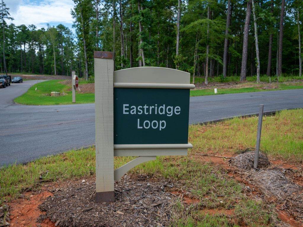 1020 Eastridge Loop - Photo 1