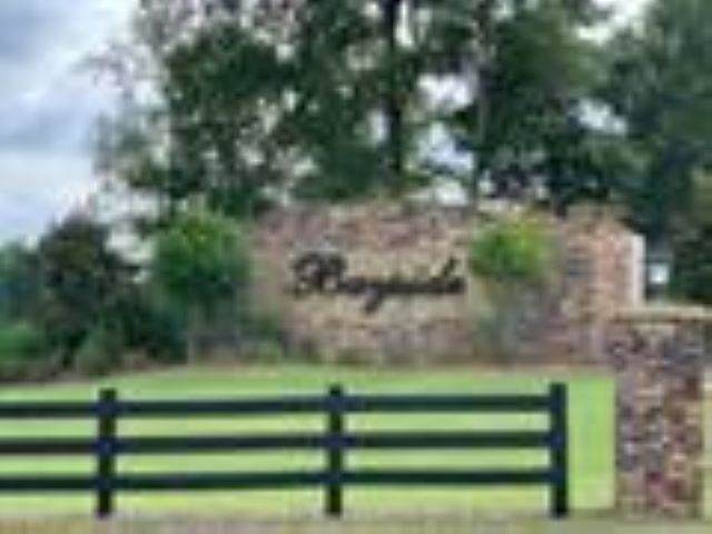 0 Parks Mill Road - Photo 1