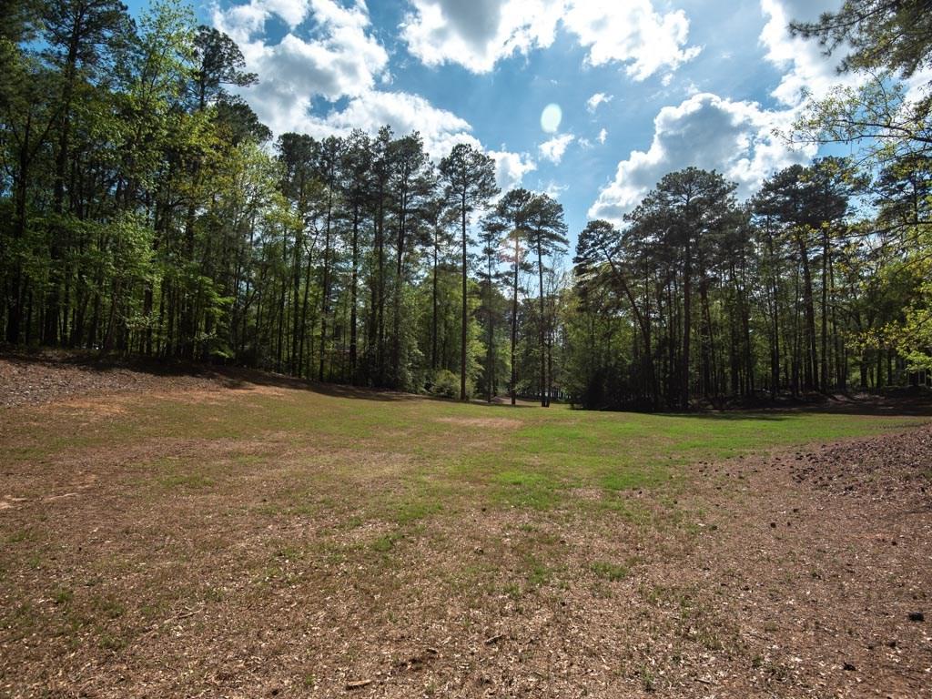 1371 Bennett Springs Drive - Photo 1