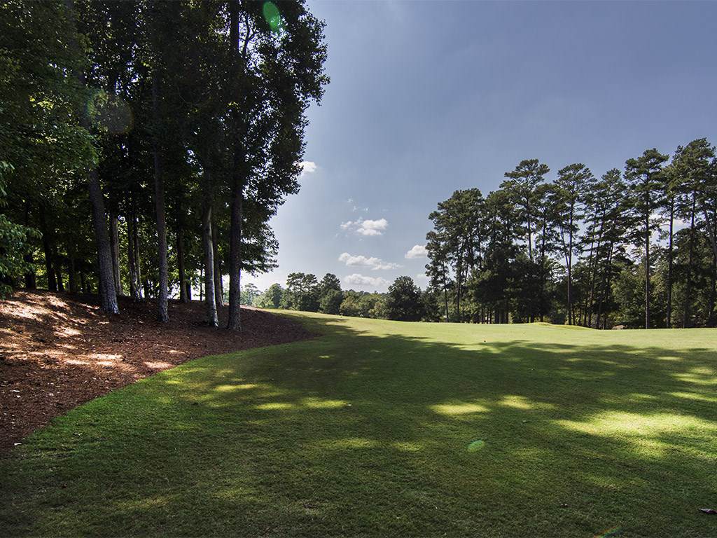 1021 Branson Bluff - Photo 1