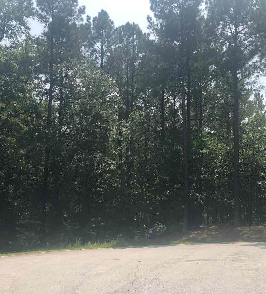 0 Tanner Trace - Photo 1