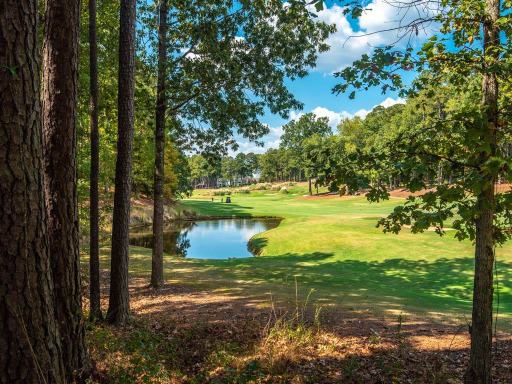 1051 Big Water Circle - Photo 1
