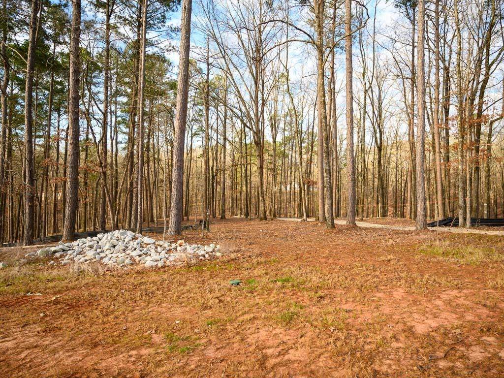 1101 High Bluff Lane - Photo 1