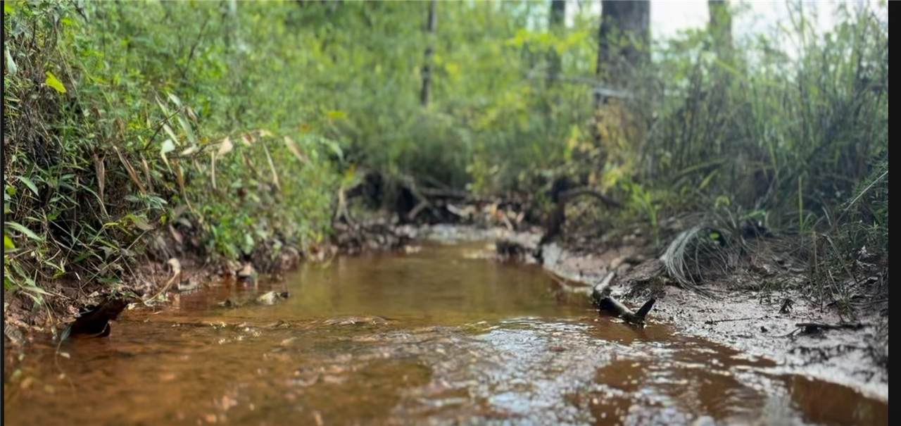 1750 Lee Road 76 - Photo 1