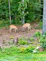 5280 Judge Brown Road - Photo 19