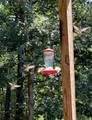 5280 Judge Brown Road - Photo 18