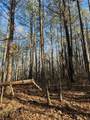 3942 Lee Road 183 - Photo 5
