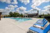 315 Coscoroba Road - Photo 8