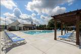 315 Coscoroba Road - Photo 9