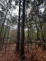 10684 Highway 22 - Photo 5