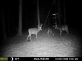 2071 County Road 63 - Photo 43