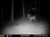 2071 County Road 63 - Photo 44