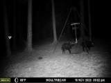 2071 County Road 63 - Photo 45