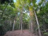 0 Tallapoosa Road - Photo 1